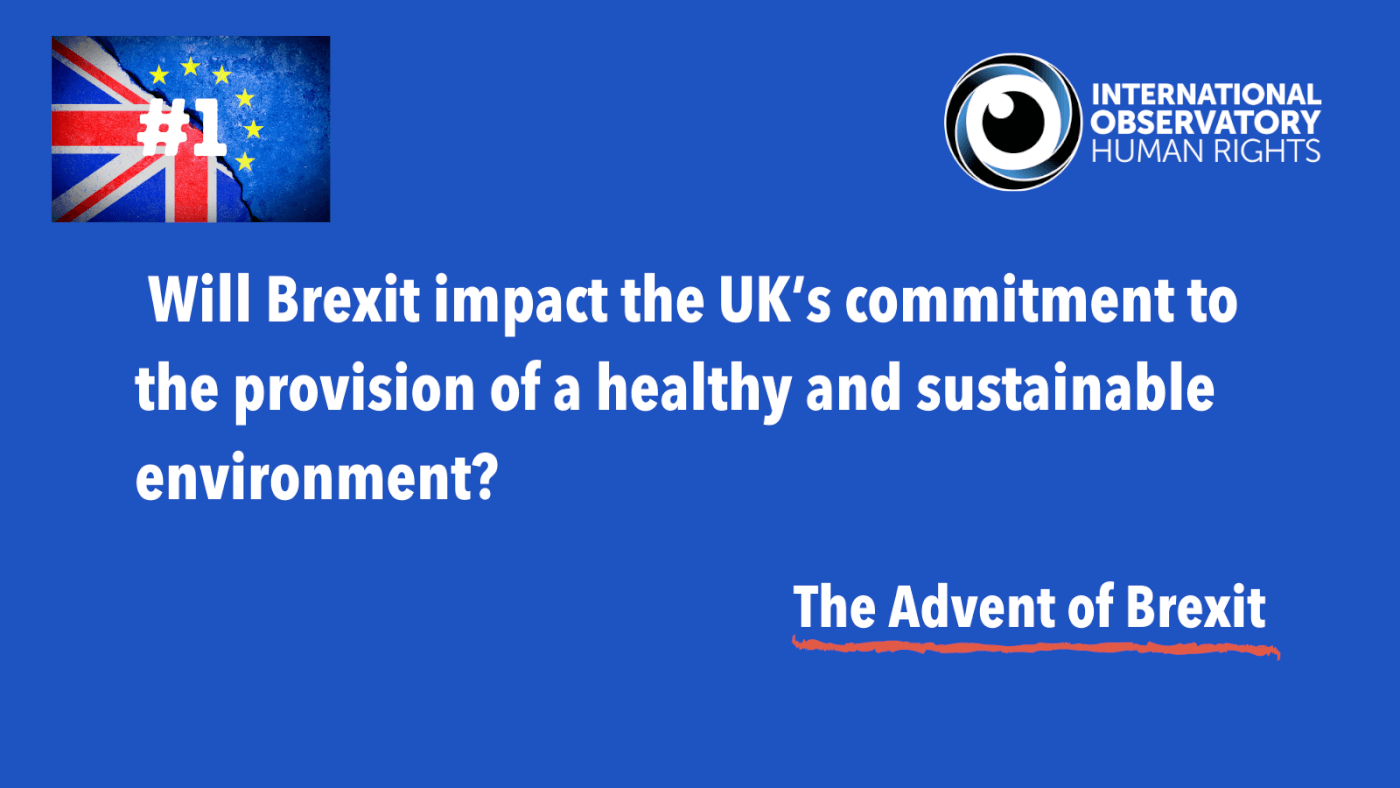 Will Brexit impact the UK's commitment to the provision of a healthy and sustainable environment?