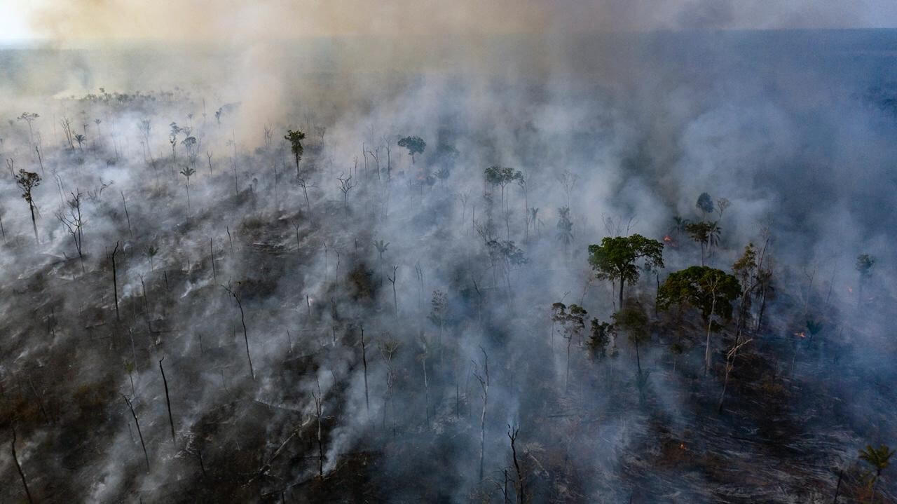 Indigenous peoples declare Amazon fires a humanitarian emergency